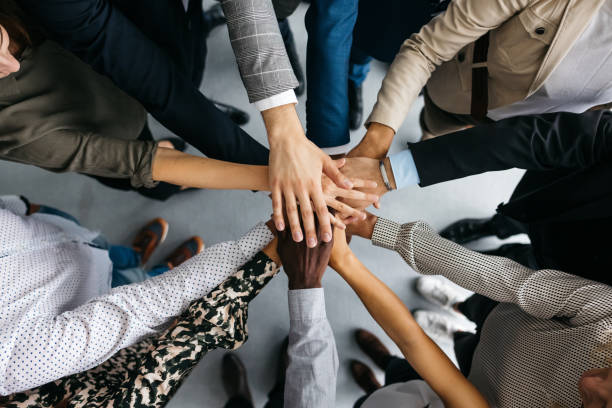 Our team collaboration